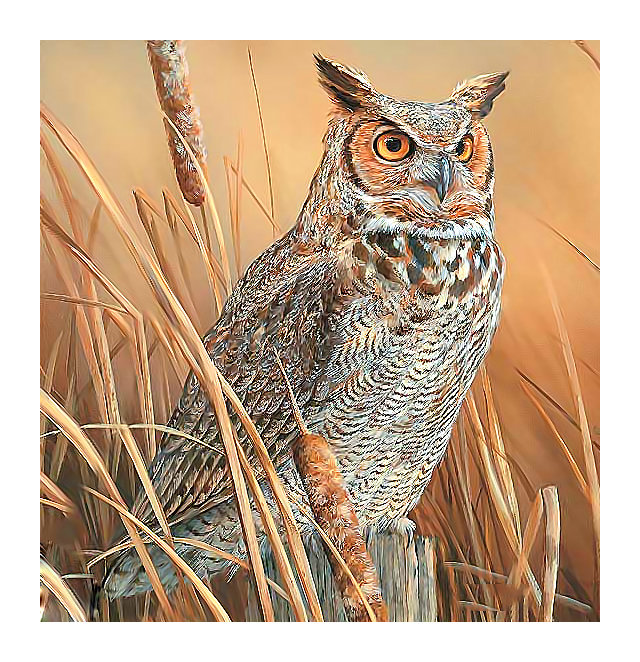 Серия "Птицы". Сова - птицы, совы, фауна - оригинал