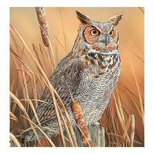 Схема вышивки «Серия "Птицы". Сова»