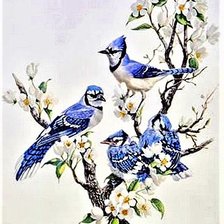 Схема вышивки «№1888625»