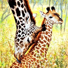 Схема вышивки «№1888700»