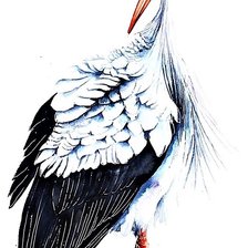 Схема вышивки «№1888703»