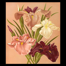 Схема вышивки «Серия "Ирисы"»