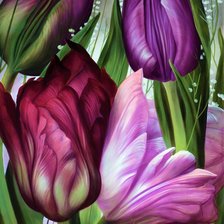 Схема вышивки «Тюльпаны»