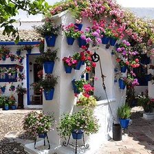 Схема вышивки «№1888876»