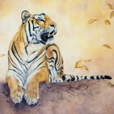 Тигр