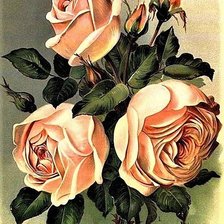 Схема вышивки «№1889113»