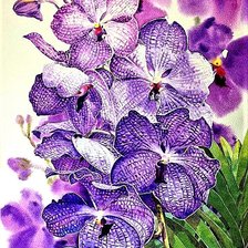 Схема вышивки «№1889114»