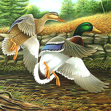 Схема вышивки «Серия "Птицы". Утки»