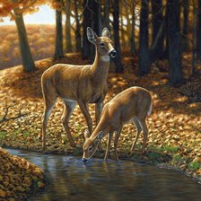 Схема вышивки «Олени у ручья»