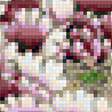 Предпросмотр схемы вышивки «Цветы» (№1889147)