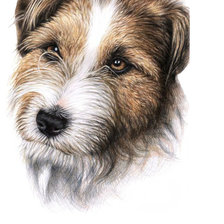 Схема вышивки «Пес»