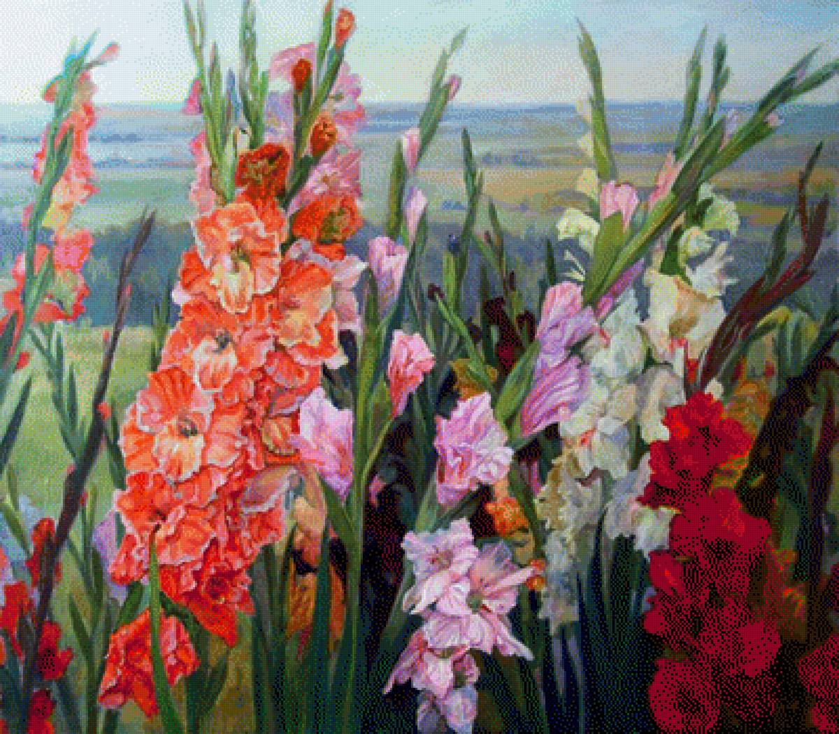 Гладиолусы - цветы, поле - предпросмотр