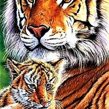 Схема вышивки «№1889648»