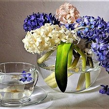 Схема вышивки «№1889654»