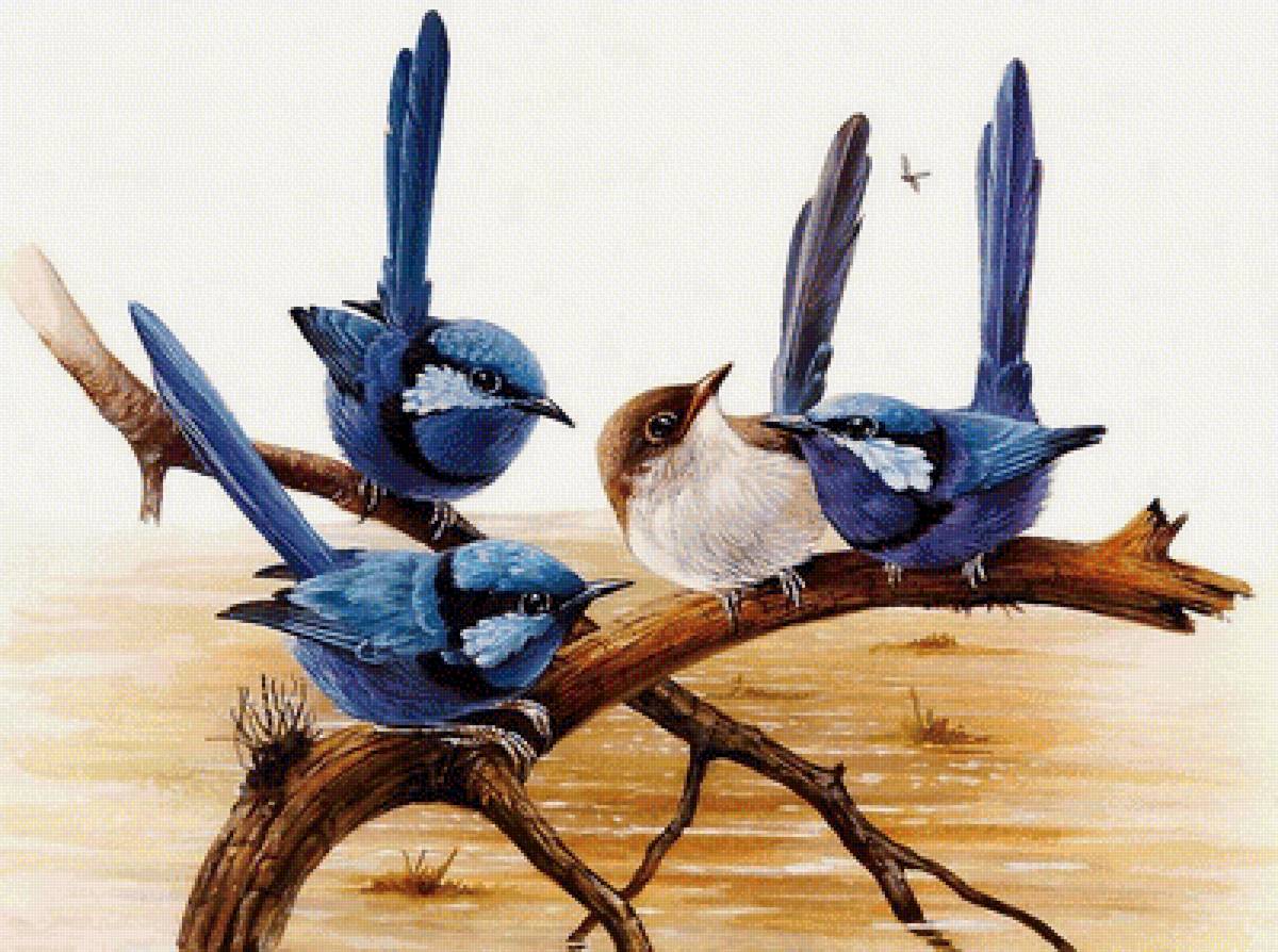 Встреча - птицы, ветвь - предпросмотр