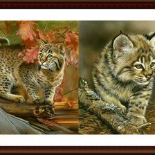 Схема вышивки «киски»