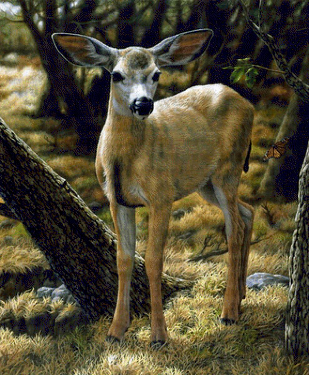 Оленёнок - природа, олененок, лес, олень, животные, бабочка - предпросмотр
