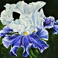 Схема вышивки «№1889851»