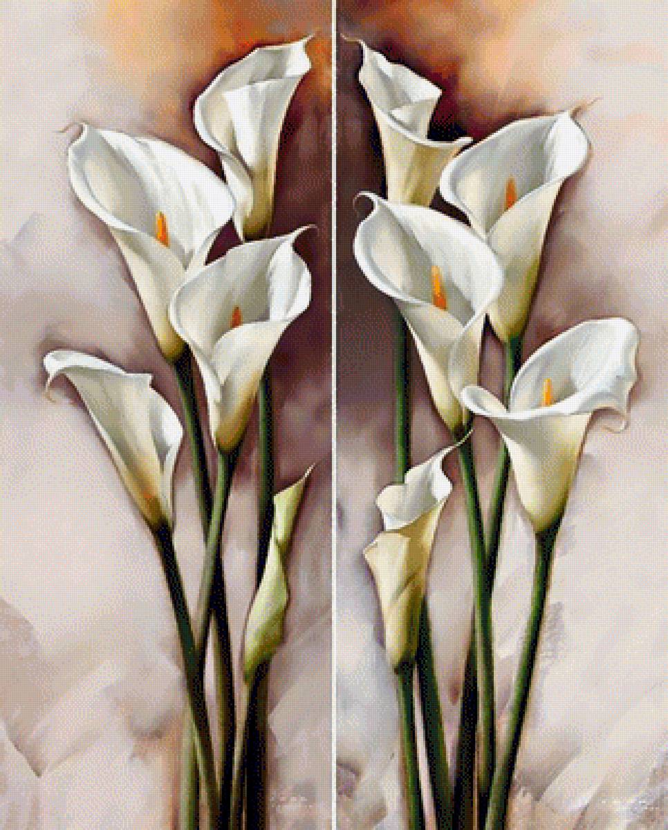 CALAS 2 - 322 x 400 cruces - предпросмотр