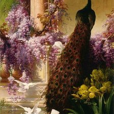 Схема вышивки «Павлин и голуби»