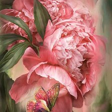 Цветок и мотылёк