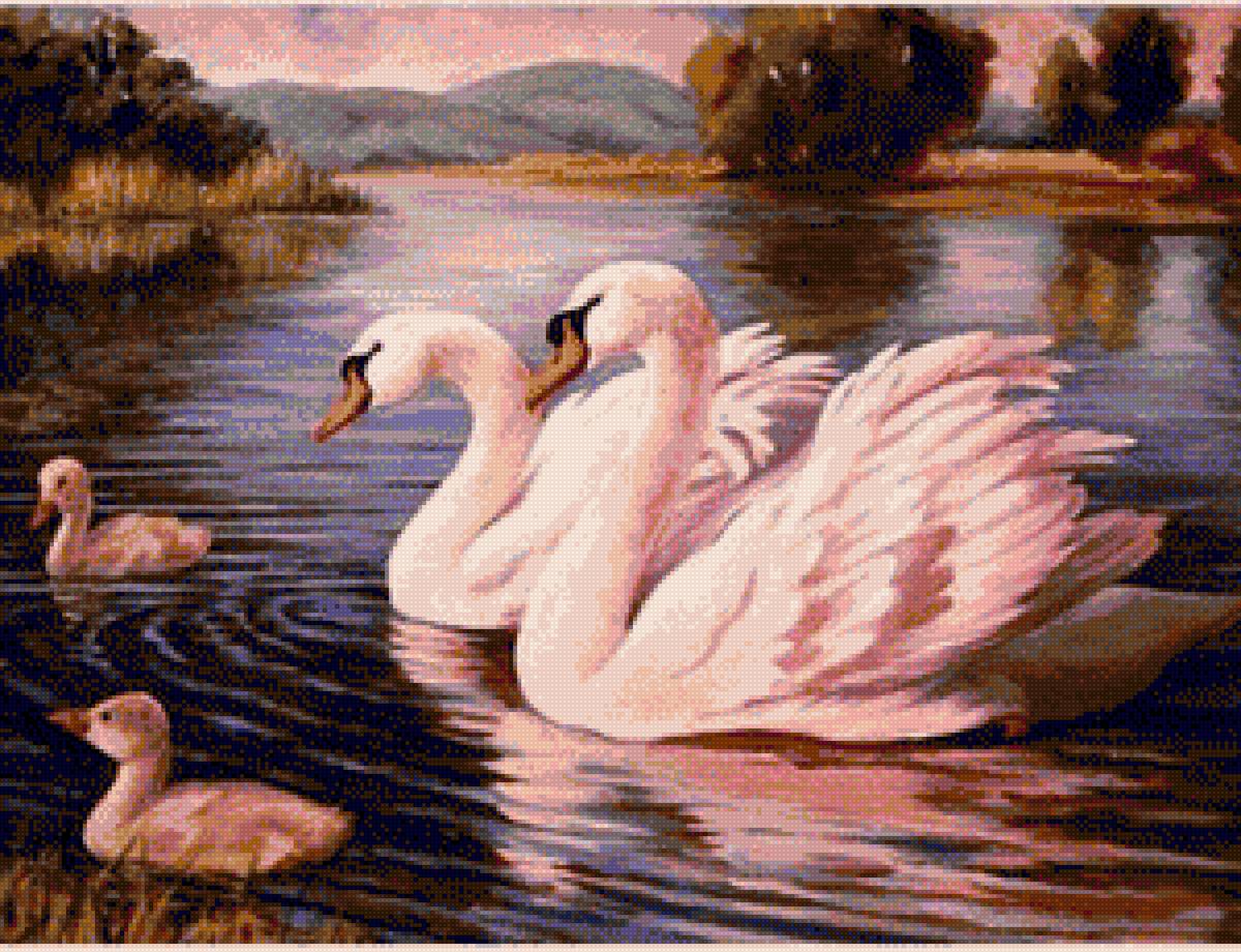 лебединая пара - лебеди, пара - предпросмотр