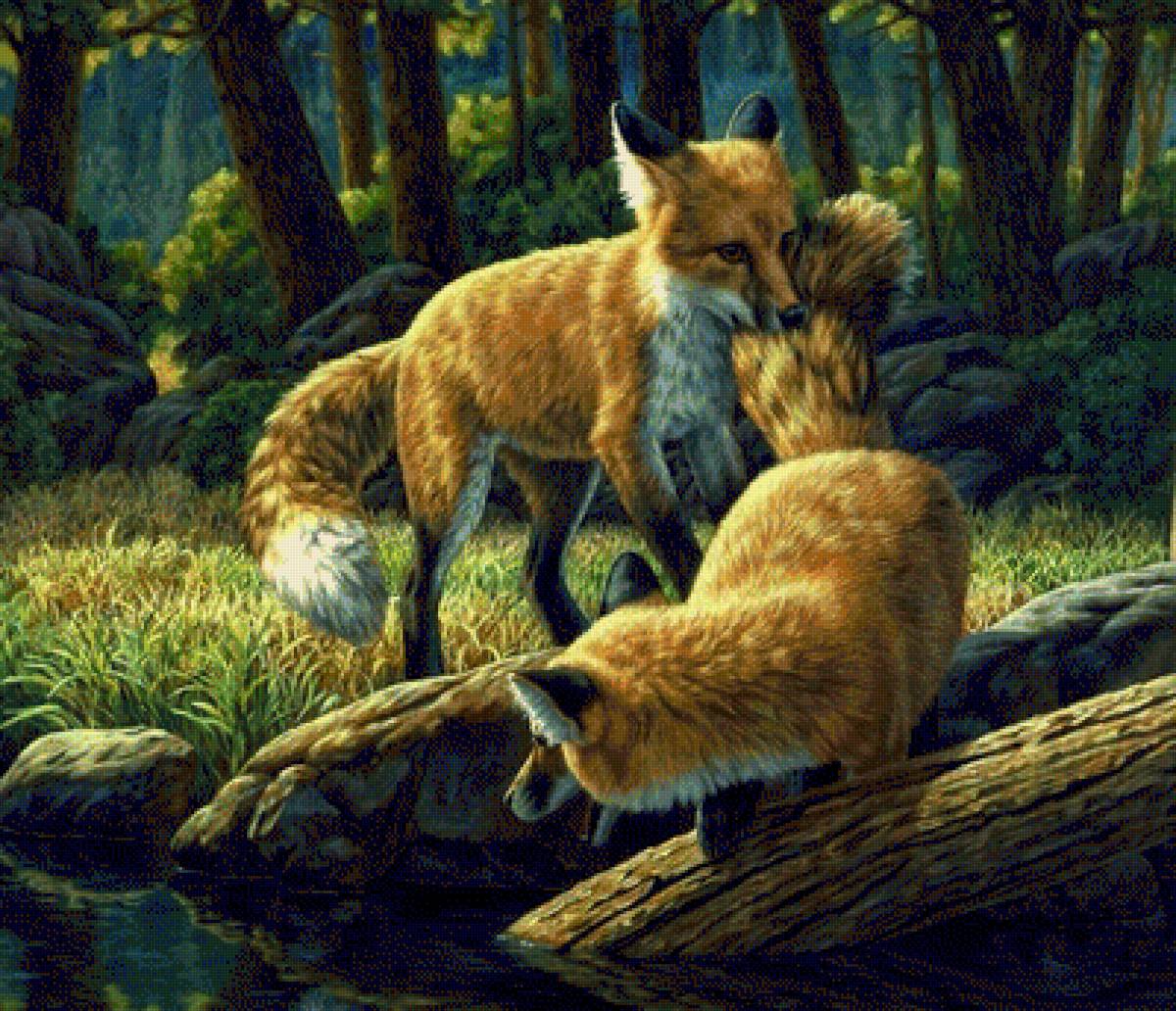 Лисички - лиса, лисичка, животные, лес, природа, лисички - предпросмотр