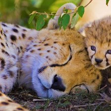 Схема вышивки «Малыш с мамой»