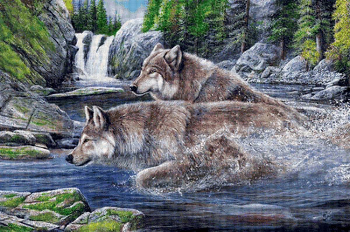 Волки - рисунок, река, водопад, животные, природа, волки, волк, лес - предпросмотр