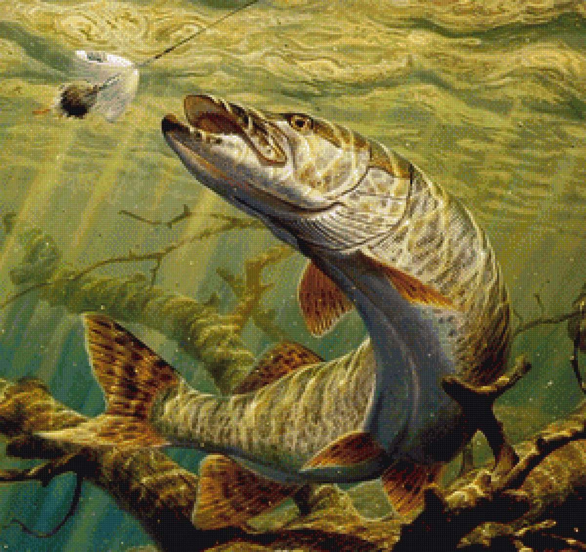 Щука - щука, рыбалка, рыба - предпросмотр