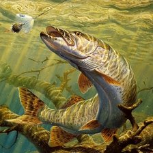 Схема вышивки «Щука»