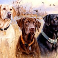 Схема вышивки «В ожидании команды»