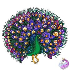 Схема вышивки «Павлин»