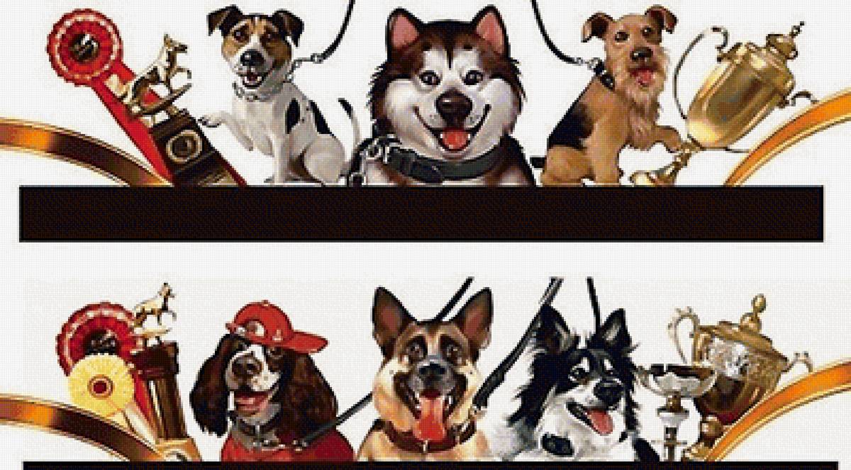 собаки - предпросмотр