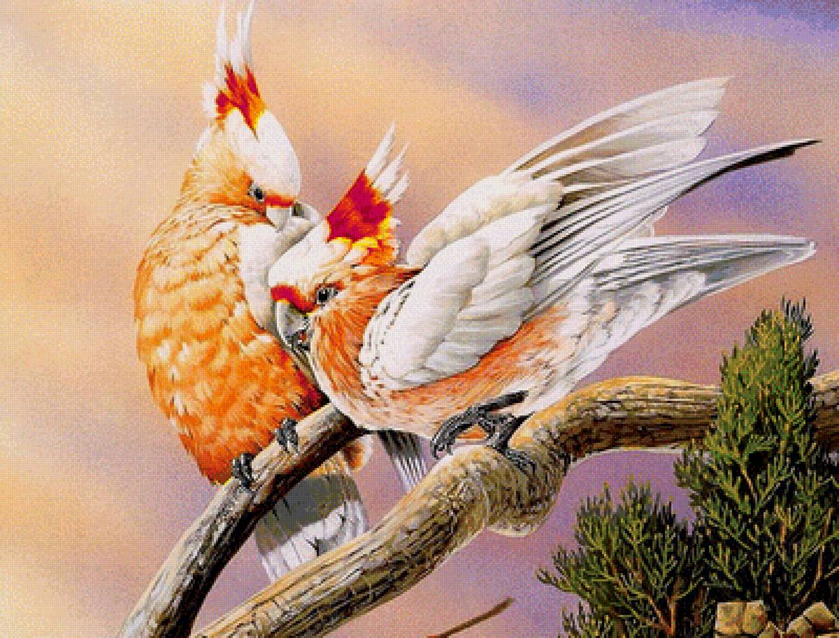 Два попугая - птицы, ветвь - предпросмотр