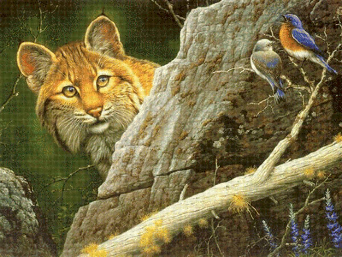 Рысь - рисунок, животные, птицы, природа, лес, рысь, птички - предпросмотр