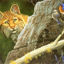 Схема вышивки «Рысь»