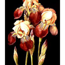 Схема вышивки «Серия "Ирисы"»