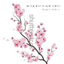 Схема вышивки «сакура»