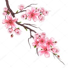 Схема вышивки «сакура»