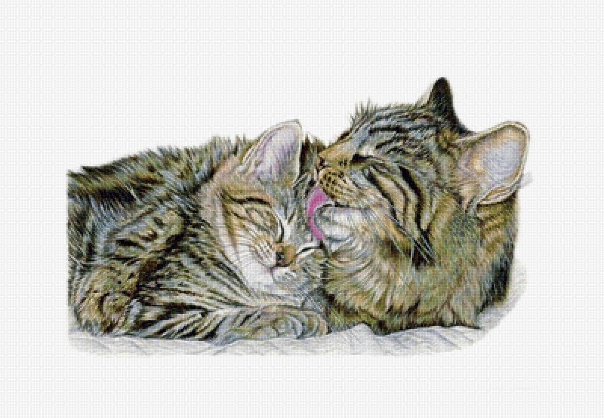 Материнская любовь - коты - предпросмотр