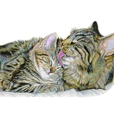 Схема вышивки «Материнская любовь»