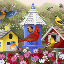 Схема вышивки «Яркие птички»