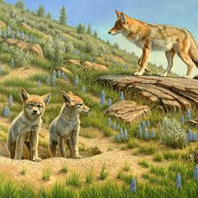 Схема вышивки «Лисички»