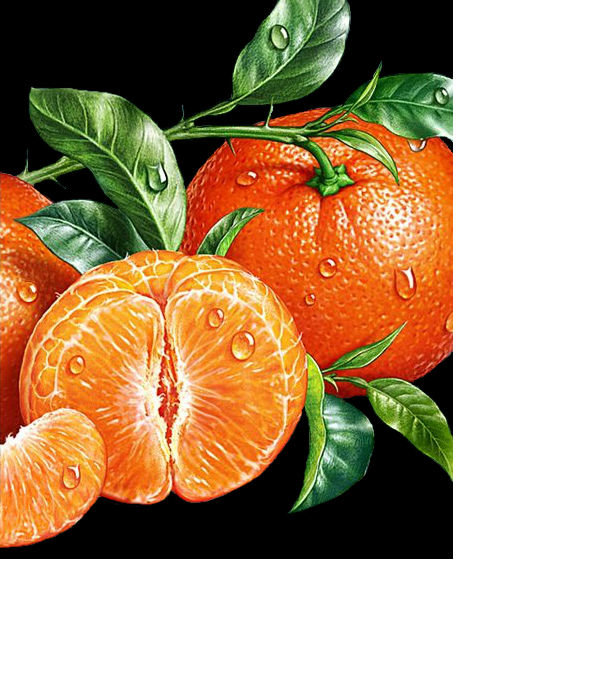 Мандаринки - на черном, фрукты - оригинал