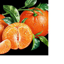 Схема вышивки «Мандаринки»