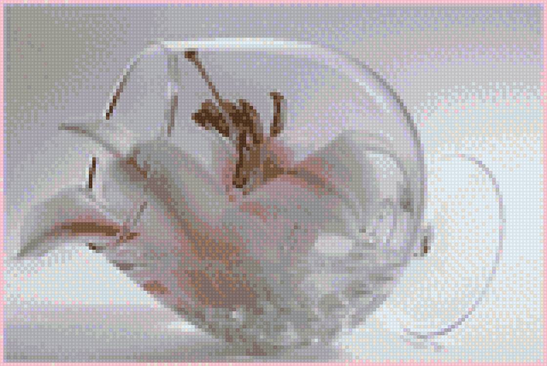 лилия в бокале - бокал, лилия - предпросмотр