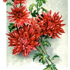 Схема вышивки «№1891717»