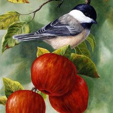 Схема вышивки «Угощение созрело!_2»