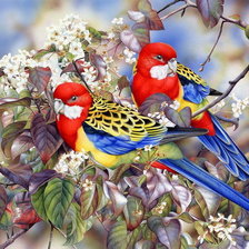 Схема вышивки «Два попугая_2»